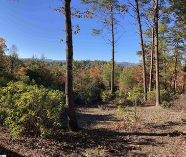 15 White Fox Trail