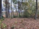 White Fox Trail Lot #15 sold home in Marietta, SC