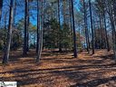 119 Bright Water Trail sold home in Six Mile, SC