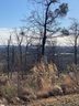 11 Rovello Court Lot 456 sold home in Greenville, SC