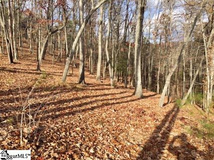 450 Highridge Parkway active home in The Cliffs At Mountain Park, Marietta, SC