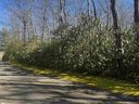 108 Hemlock Trail Lot 180 sold home in Cleveland, SC