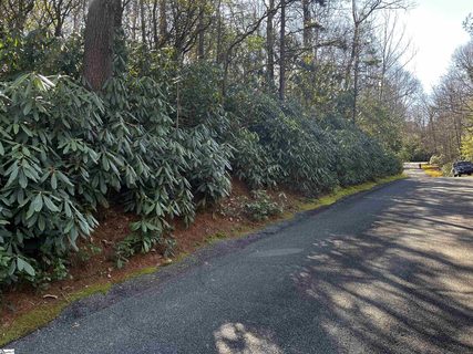 116 Hemlock Trail Lot 182 active lot in Cliff Ridge At Caesars Head, Cleveland, SC