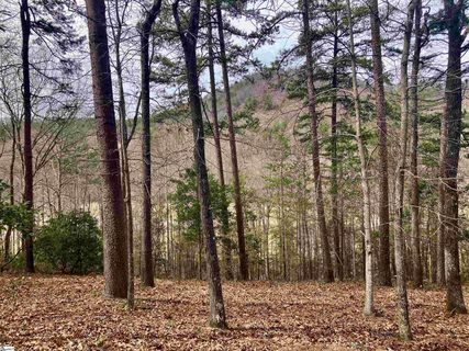 Augusta Links Trail Lot #45 sold home in The Cliffs At Mountain Park, Travelers Rest, SC