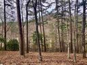 Augusta Links Trail Lot #45 sold home in Travelers Rest, SC