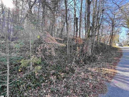 105 Tanglewood Drive sold lot in Tanglewood, Greenville, SC