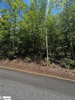 00 Old Rockhouse Road Lot 47 sold home in Summersett Place, Greenville, SC