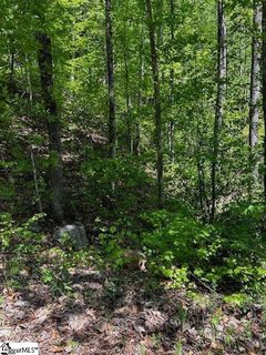 000 Rockhouse Road Lot 48 sold home in Summersett Place, Greenville, SC