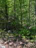 000 Rockhouse Road Lot 48 sold home in Greenville, SC