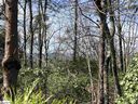 00 Stone Terrace Way sold home in Salem, SC