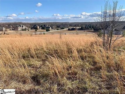 208 Chestnut Springs Way sold lot in Chestnut Springs, Williamston, SC