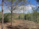 775 Blue Bonnet Trail sold home in Marietta, SC