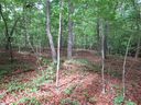 0 Raven Court Lot 35 sold home in Cleveland, SC