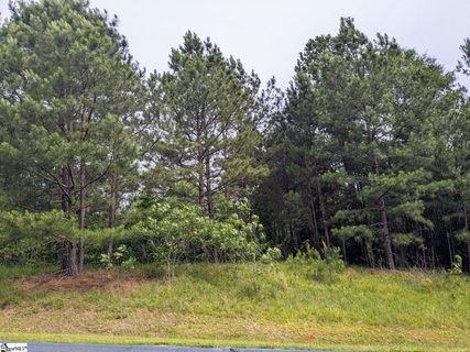 312 Watersedge Drive sold lot in Crystal Bay, Cross Hill, SC