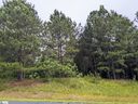 312 Watersedge Drive sold home in Cross Hill, SC