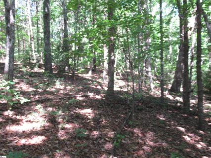 221 River Bluff Road sold lot in River Bluff, Cleveland, SC