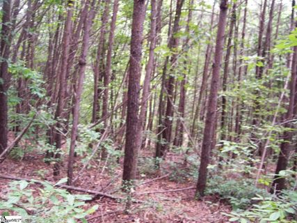 343 Gauley Falls Road Lot 87 Gauley Falls active home in Gauley Falls, Pickens, SC