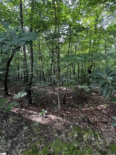 000 Cliff Ridge Drive Lot 253 active lot in Cliff Ridge At Caesars Head, Cleveland, SC