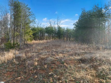 113 Pinelands Place sold lot in The Pinelands, Travelers Rest, SC