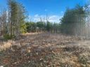 113 Pinelands Place sold home in Travelers Rest, SC
