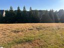 247 Tuscan Ridge T Trail sold home in Inman, SC