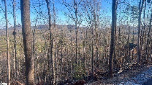 109 Stone Creek Court active lot in Whispering Falls, Pickens, SC