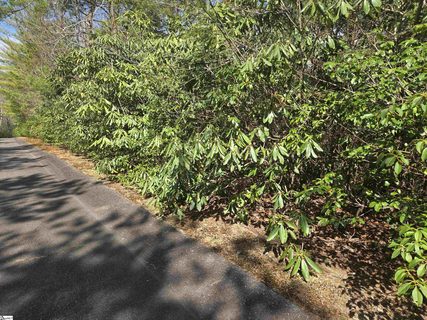 17 Cliff Ridge Drive pending lot in Cliff Ridge At Caesars Head, Cleveland, SC