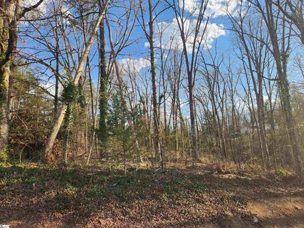 109 Buena Vista Drive sold home in Monte Vista, Easley, SC