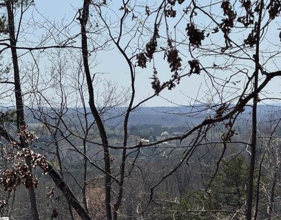 32497 Goforth Road active land listing in Lake Lanier, Landrum, SC