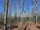 6 & 10 Larkspur Lane sold home in Cleveland, SC