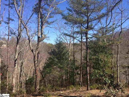18 Angle Stone Way active home in Cliffs Valley, Travelers Rest, SC