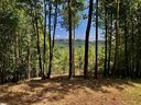 501 Blue Bonnet Trail sold home in Marietta, SC