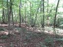 205 Gauley Falls Road sold home in Pickens, SC