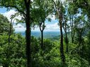 22 Raven Road sold home in Landrum, SC