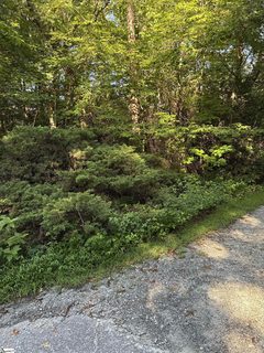 231 Cherokee Hills Trail sold lot in Cherokee Hills, Pickens, SC