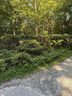 231 Cherokee Hills Trail sold home in Pickens, SC