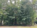 15 Sable Glen Drive sold home in Greenville, SC