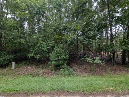 00 E Peninsula Drive Lot 134 active lot in Lake Rabon Estates, Laurens, SC