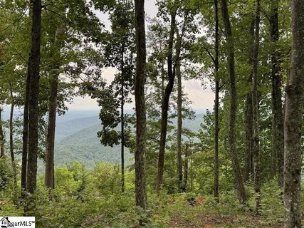 1534 Panther Park Trail active lot in Cliffs Valley, Travelers Rest, SC