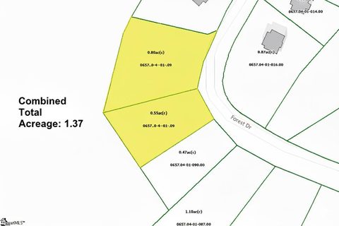 0000 Forest Drive sold home in Look Up Forest, Travelers Rest, SC