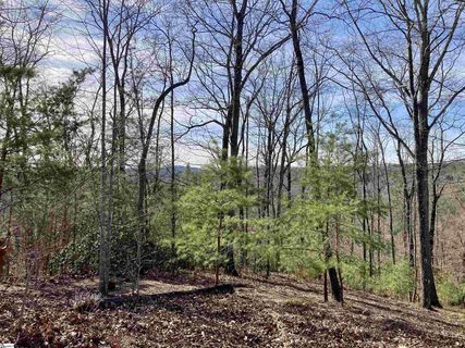 435 Augusta Links Trail active home in The Cliffs At Mountain Park, Travelers Rest, SC