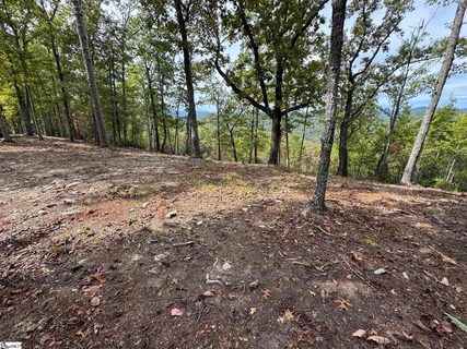 220 Blue Bonnet Trail active home in The Cliffs At Mountain Park, Marietta, SC