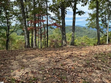 230 Blue Bonnet Trail active home in The Cliffs At Mountain Park, Marietta, SC