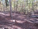 107 N Foxglove Road sold home in Westminster, SC