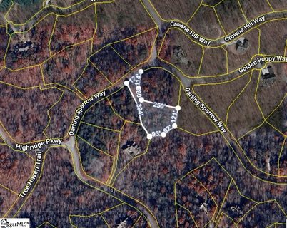 40 Darting Sparrow Way active home in The Cliffs At Mountain Park, Marietta, SC