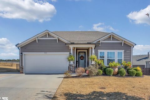 303 Bristle Fern Trail