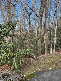 Tbd Cliff Ridge Drive active lot in Cliff Ridge At Caesars Head, Greenville, SC