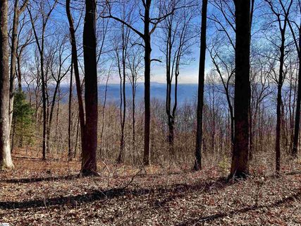 1000 Mountain Summit Road