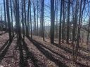 44 Wild Ginger Road sold home in Landrum, SC