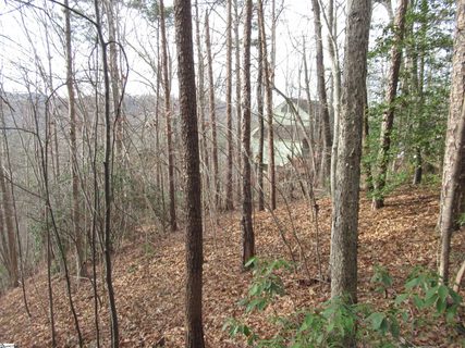 Lone Rock Court Lot 10 Whispering Falls active lot in Whispering Falls, Pickens, SC